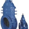 VÁLVULA DE COMPUERTA AVK, EMBRIDADA, PN10/16